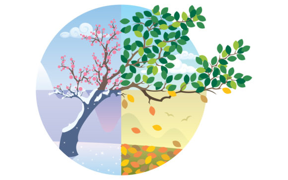 Download Seasons Cycle - Seasons Collection