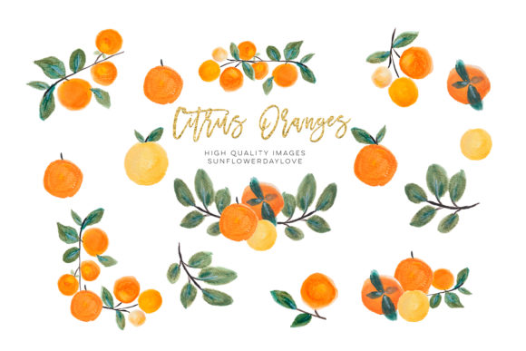 Download Orange Clip Art, Oranges Fruits Clipart - Clip art Collection